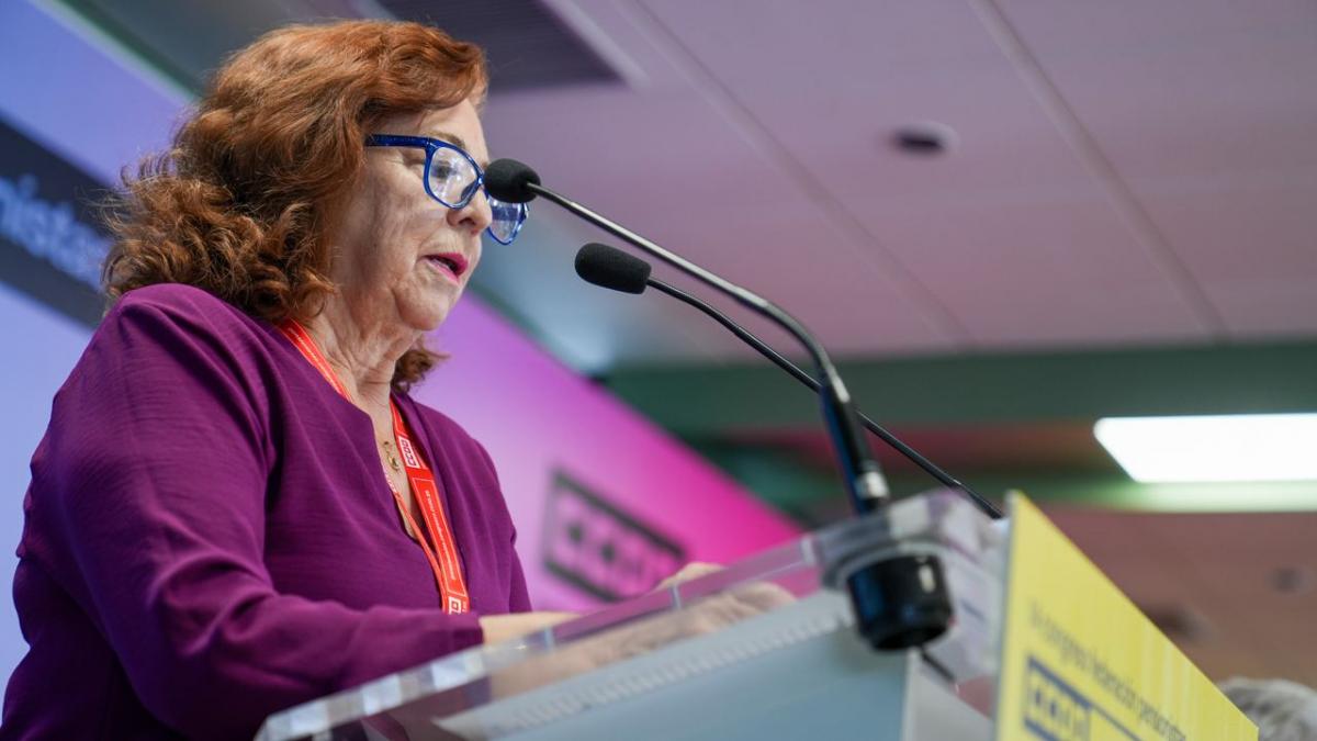 Portavoces de las 17 Delegaciones de Federaciones de comunidad autnoma